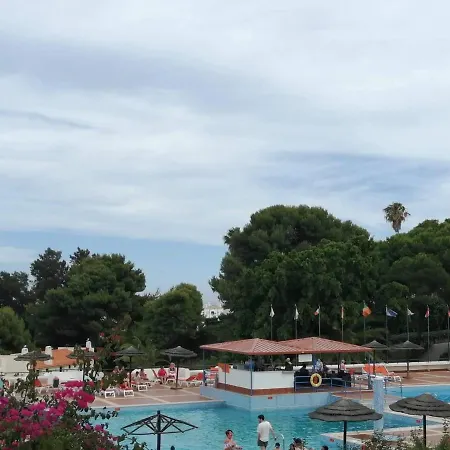 Tradicional 阿尔布费拉